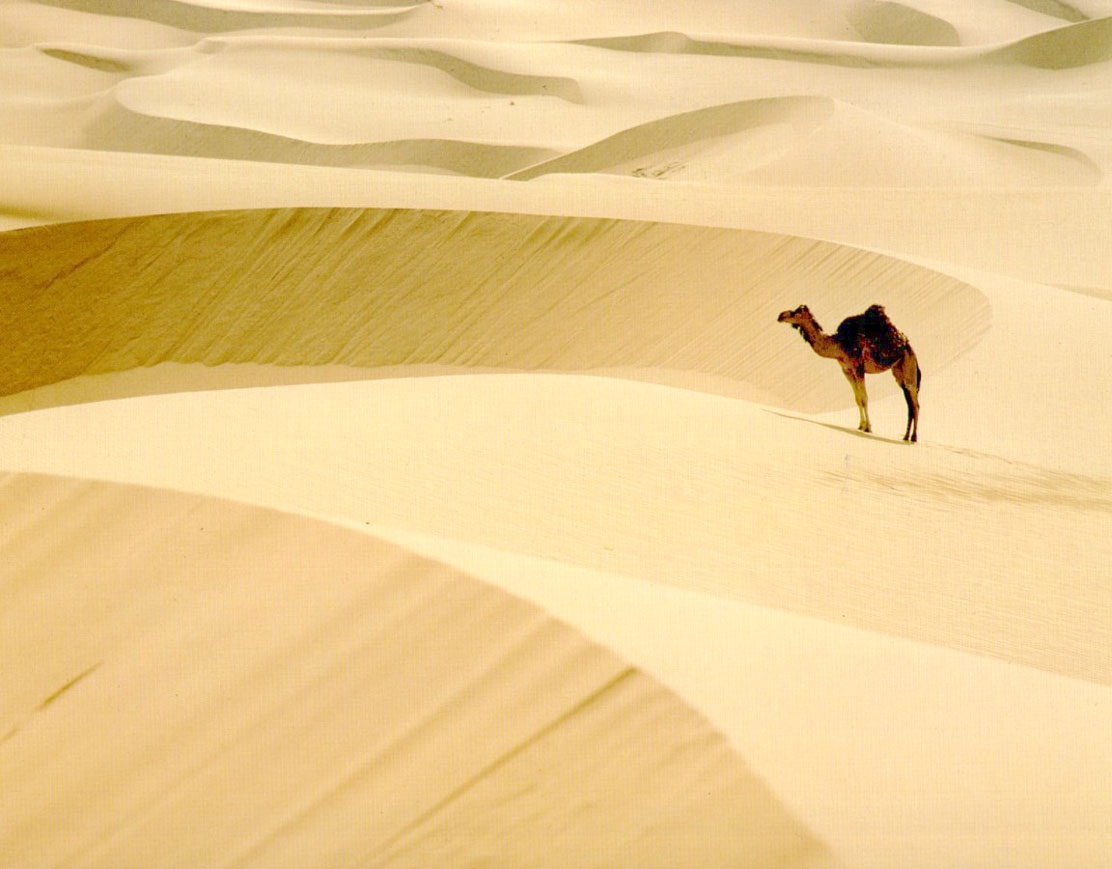La Navarra de nuestros tataranietos será un desierto.