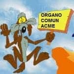 El Diario de Noticias llama a la Transitoria Cuarta una cláusula “para articular un vínculo más estrecho con la Comunidad Autónoma Vasca”